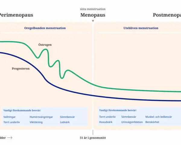 Graf som visar hormonförändringar under perimenopaus, menopaus och postmenopaus. Beskriver vanliga besvär efter klimakteriet.