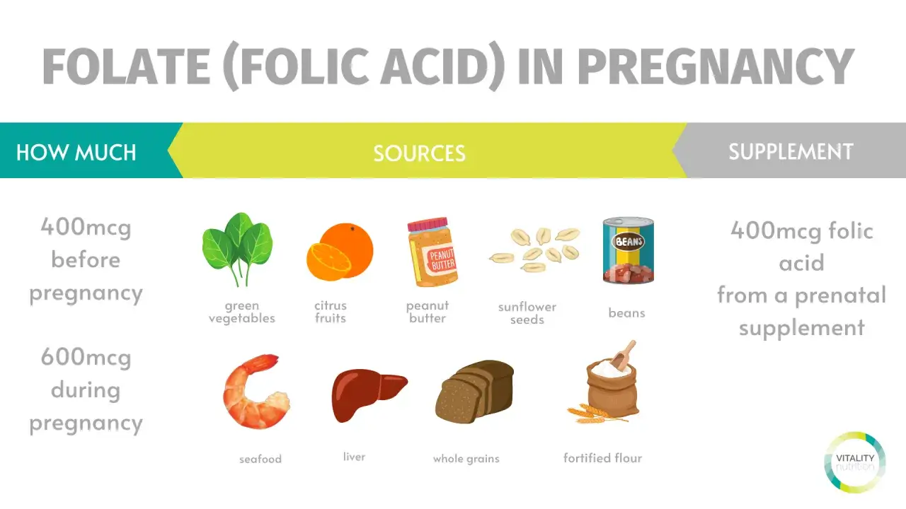 Folat (folic acid svenska) i graviditeten: mängd, källor (grönsaker, frukt, nötter, bönor, lever, fullkorn, berikat mjöl) och tillskott.